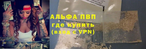 сатива Алзамай