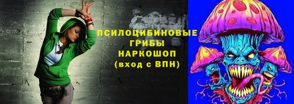 героин Алексин