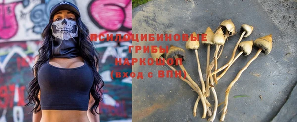 героин Алексин